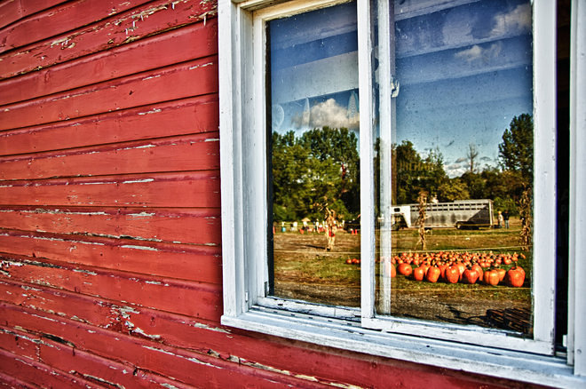 Looking For Something To Do This Weekend? 6 Pumpkin Patches Near NYC - Curbed NY
