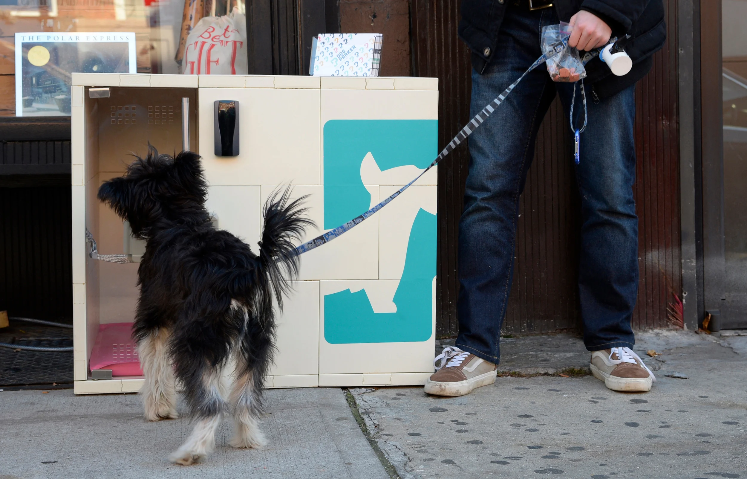 112415_dog_parkerpm-1.jpg