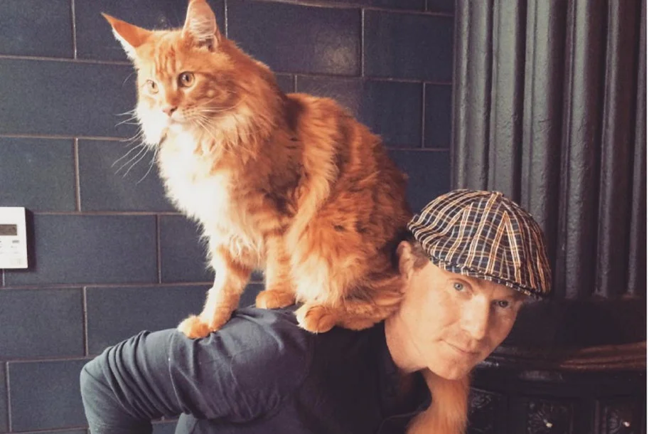 Chef Bobby Flay and his Instagram-famous cat, Nacho, have rented out their former Chelsea digs.