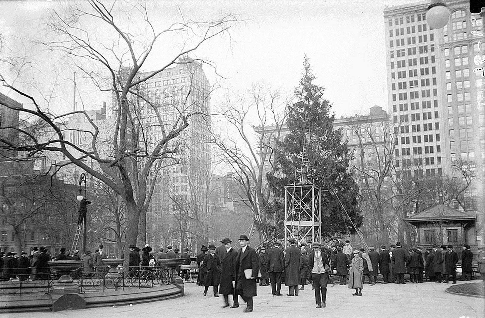 104 Years Ago This Week, The Nation’s First Public Tree Went Up In Madison Square Park