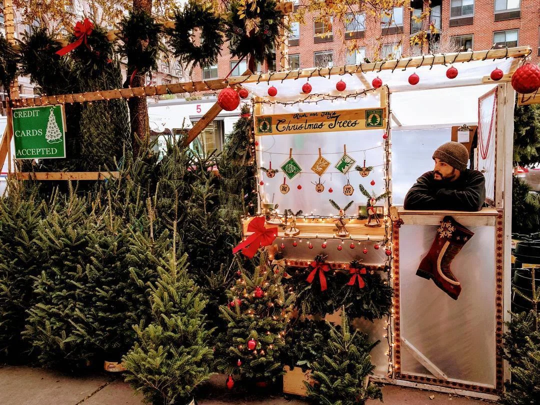 Christmas Tree Prices Rise
