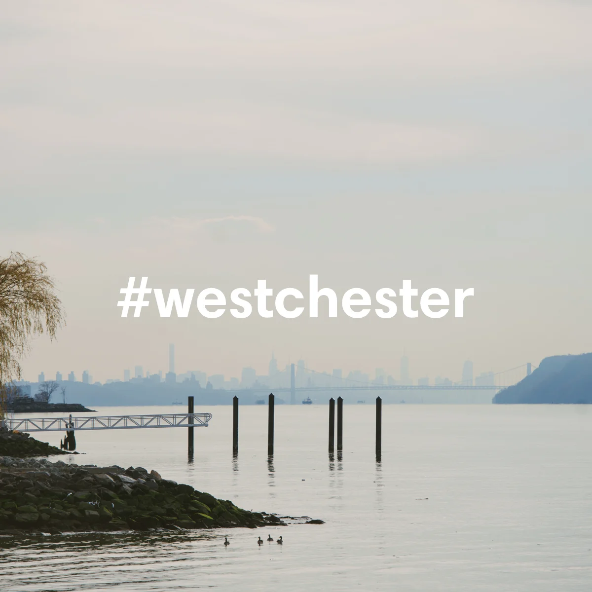 Westchester Hashtag Stills.003.jpeg