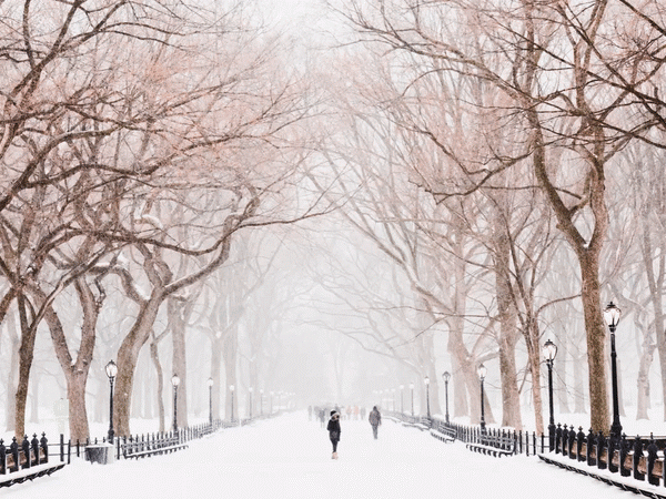 unnamed.gif