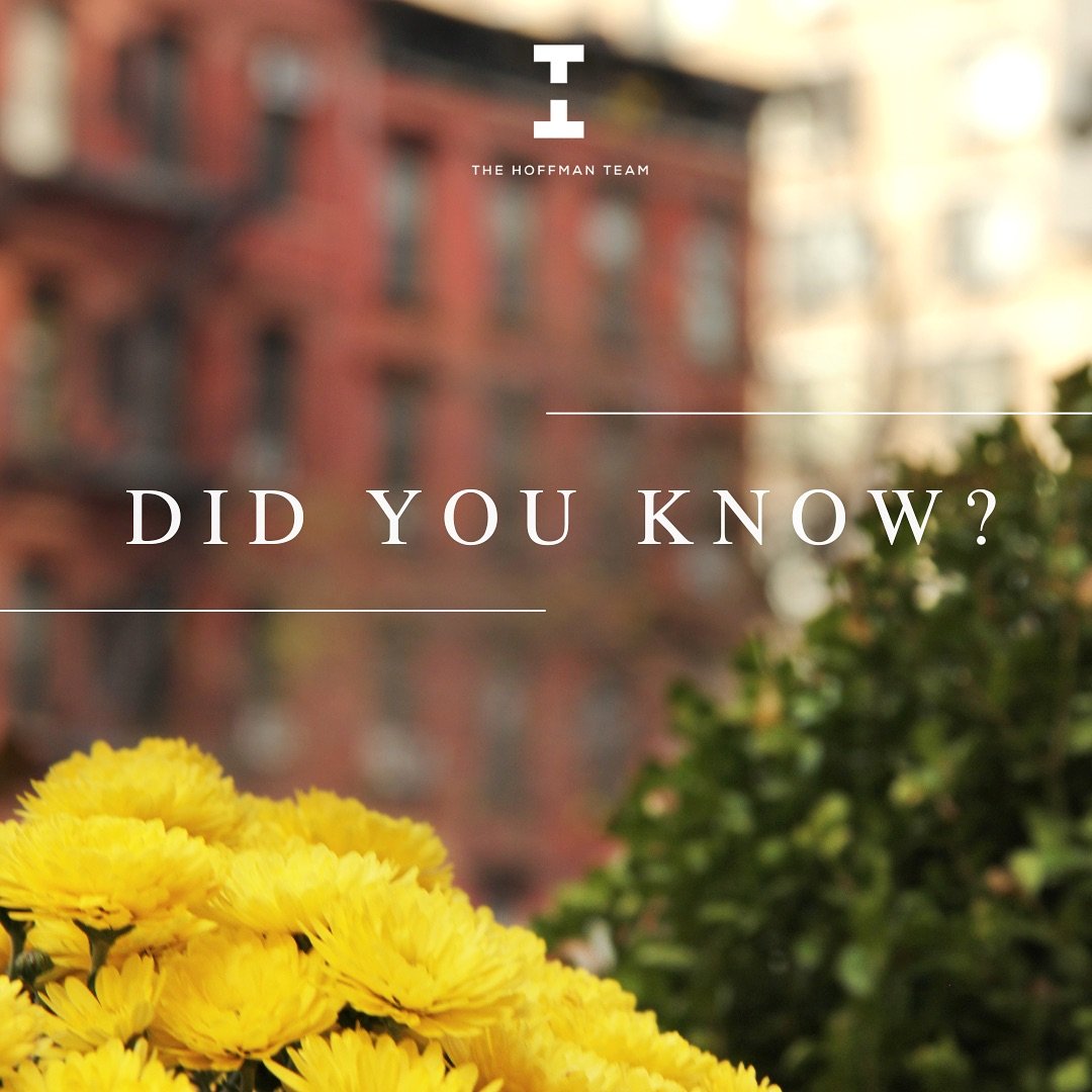 NYC rents among the highest in the nation!

Despite some national improvements, New York City remains one of the most expensive rental markets. In August 2024, the average rent hit $2,935, with NYC renters spending 38.1% of their income on housing&md