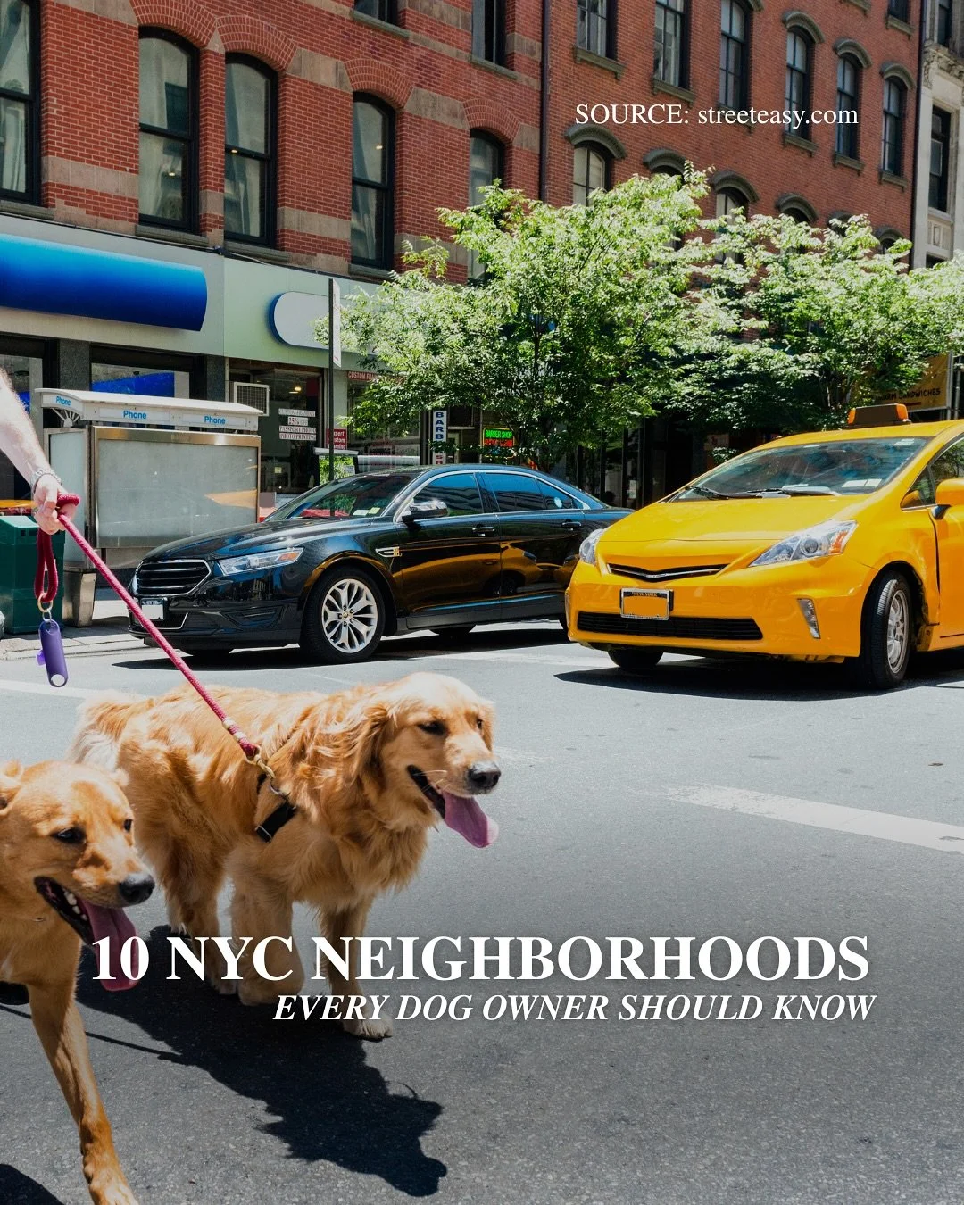 If you and your pup are on the hunt for the perfect place in NYC, this StreetEasy roundup is made for you. They analyzed data from across all five boroughs&mdash;dog licenses, pet-friendly units, dog runs &amp; parks&mdash;and these are the neighborh