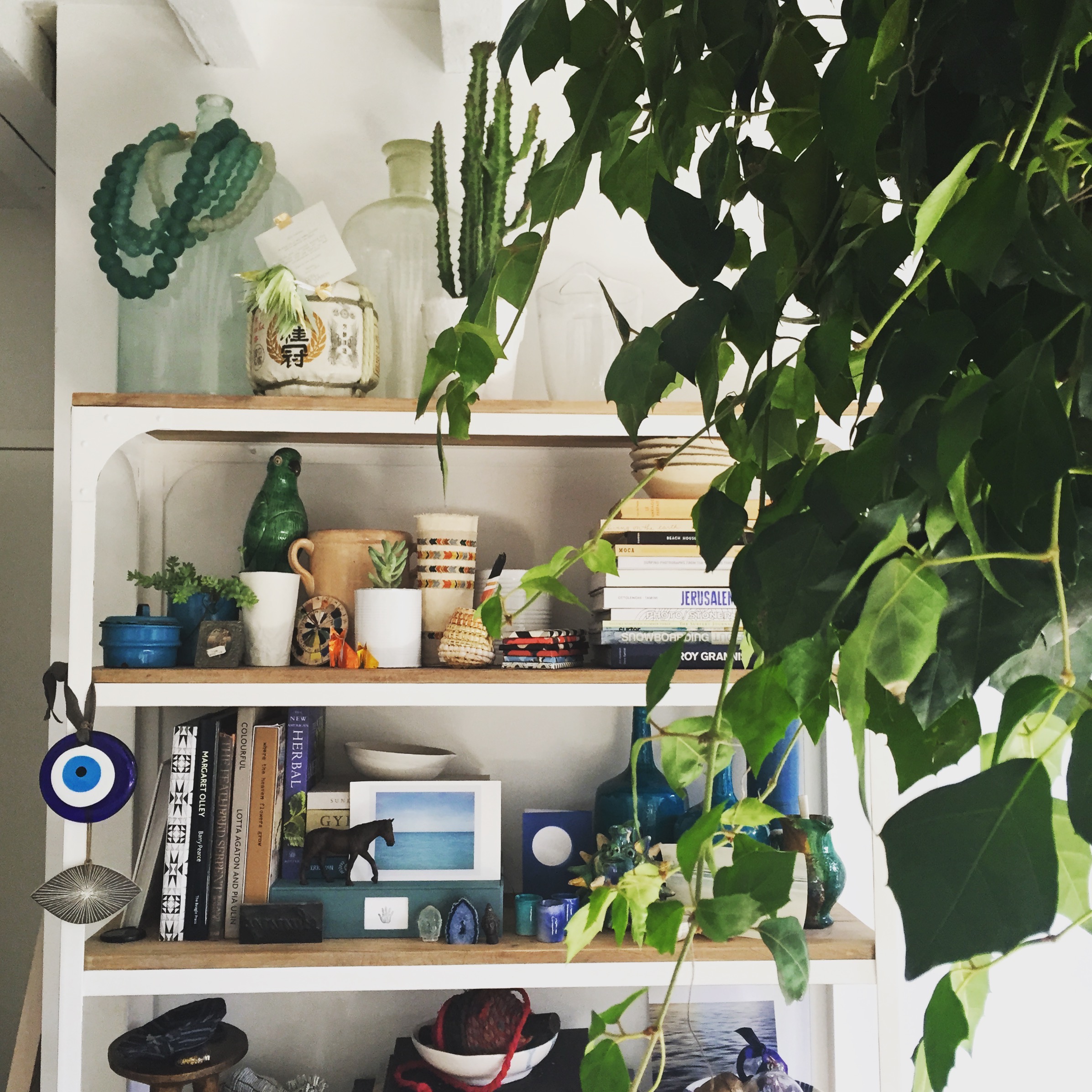 <i>What's your why?</i>