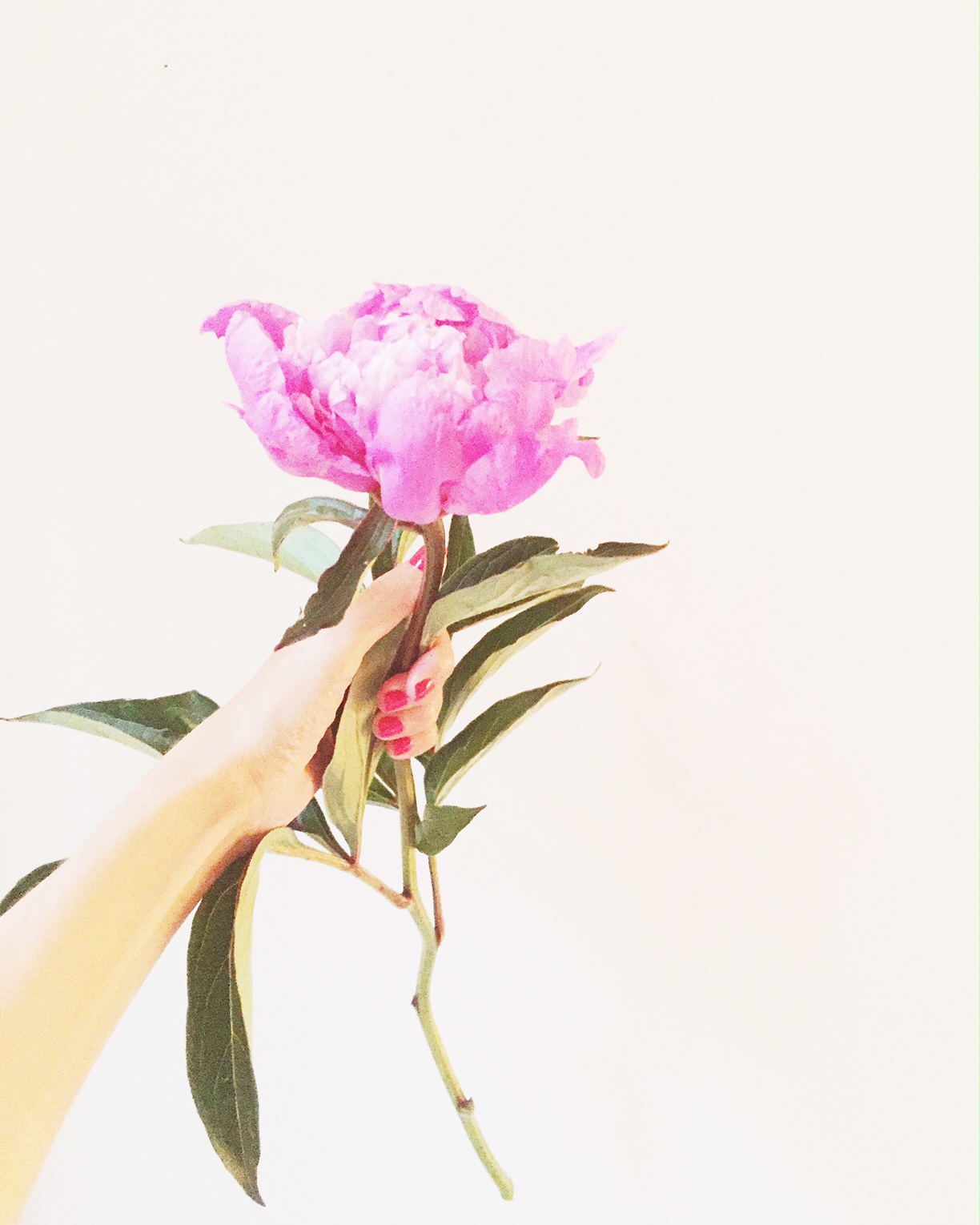 <i>What's your advice for someone going through their own transformation?</i>