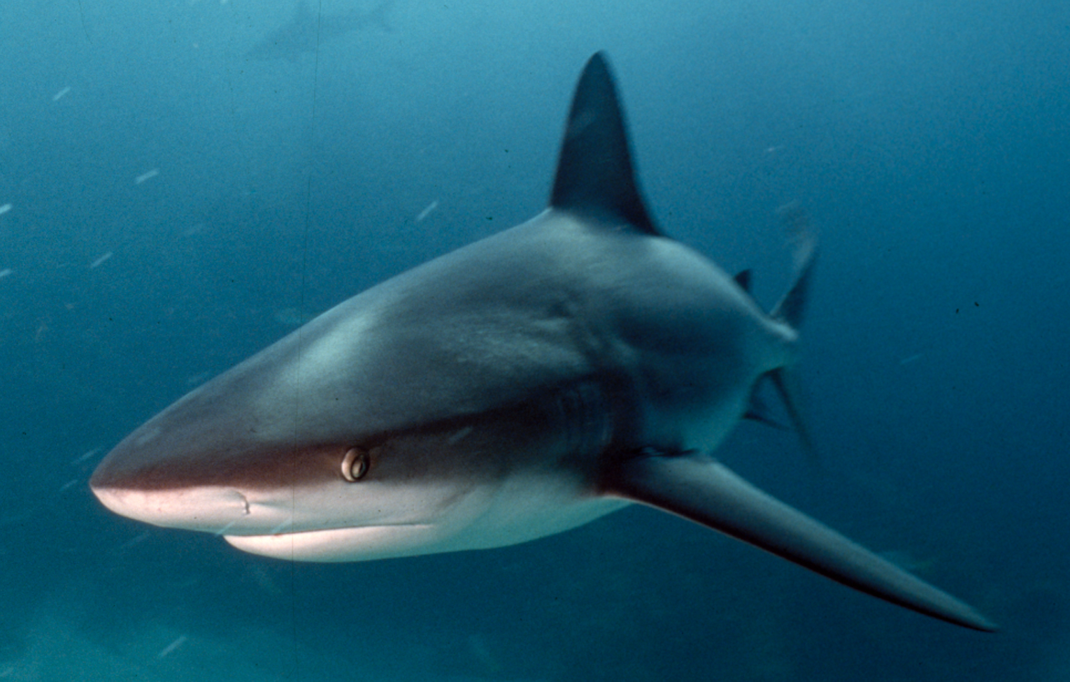 Screenshot 2022-06-28 at 14.13.10.png