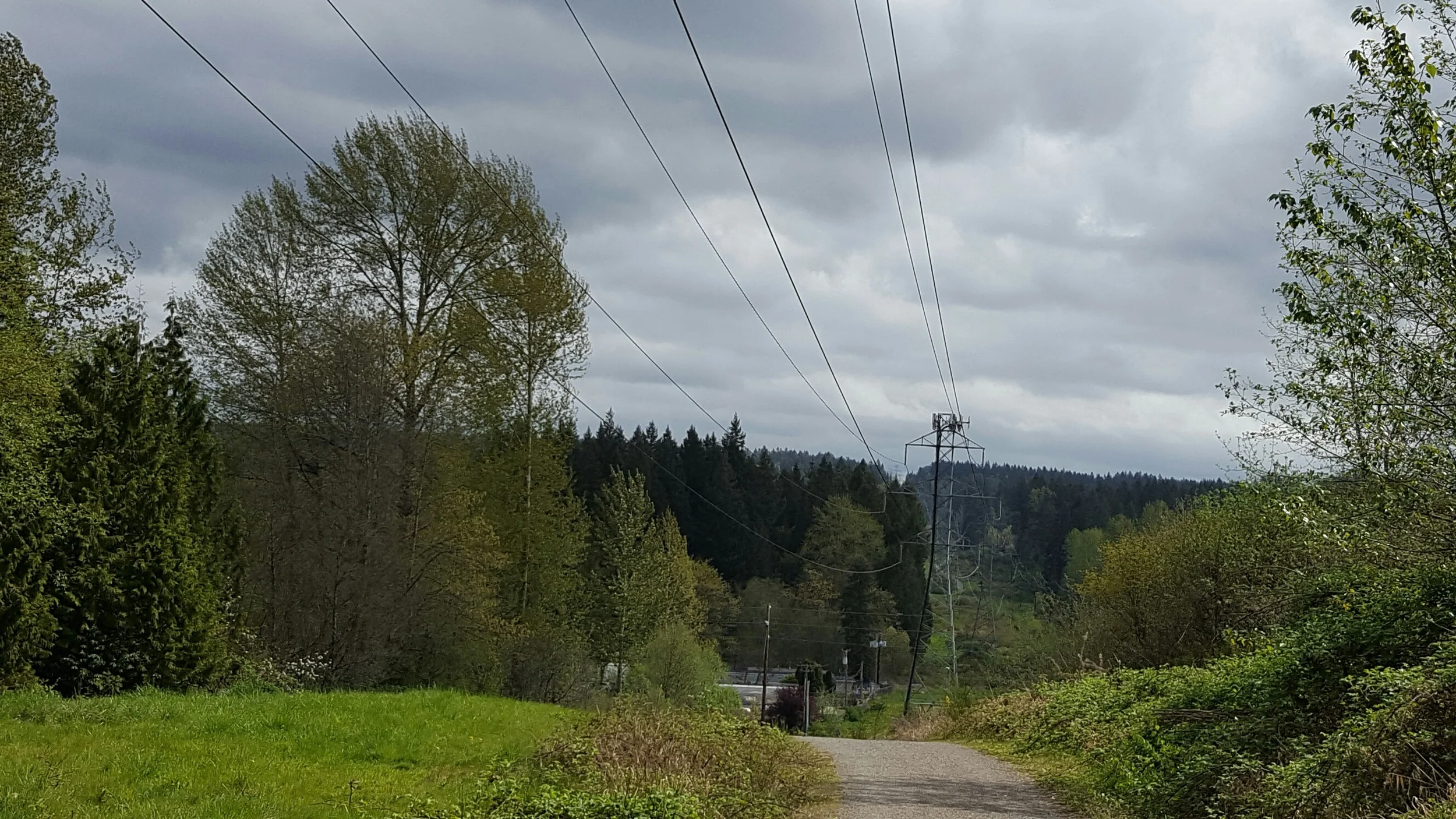 A perfect day for harnessing solar energy, except for those darn trees?