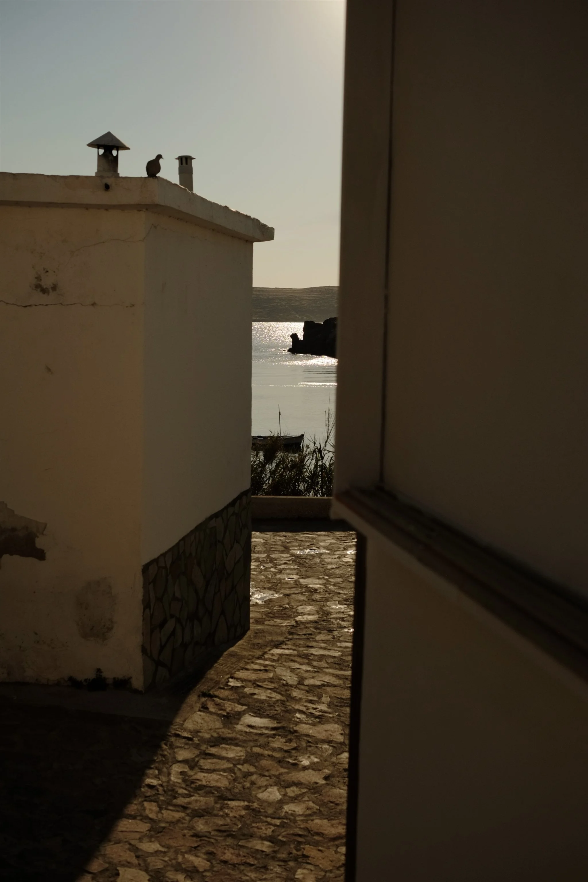 IMG_0357.jpeg
