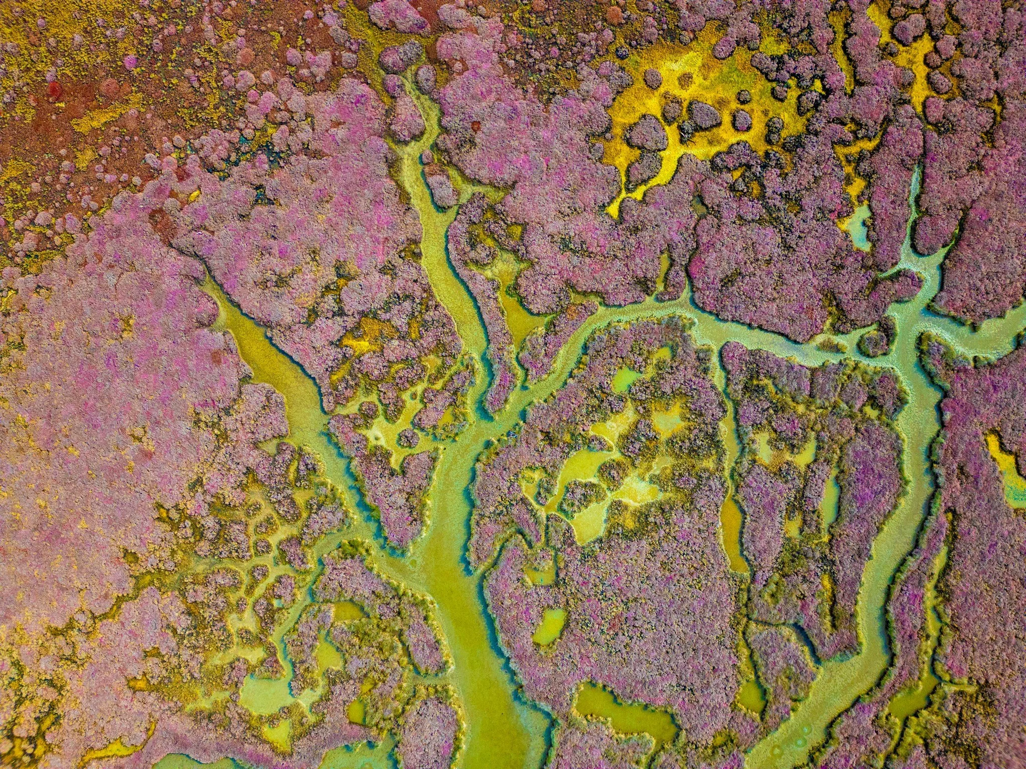 DJI_0144r (2).jpg