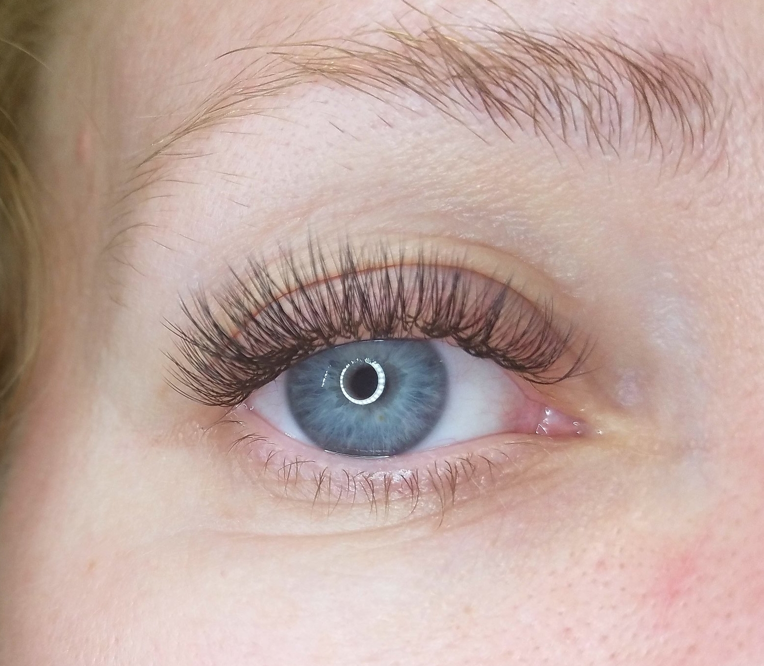 eyelash extensions white plains ny