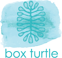 Box Turtle.png