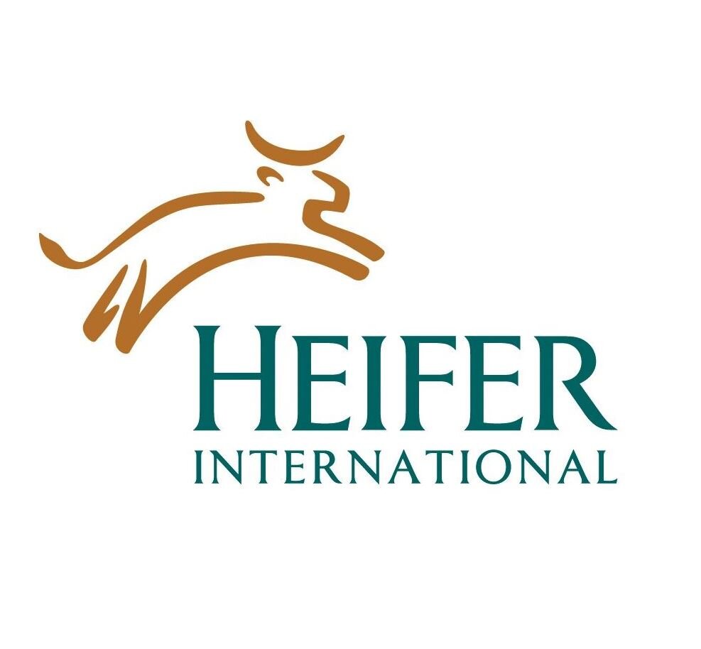 Heifer.JPG