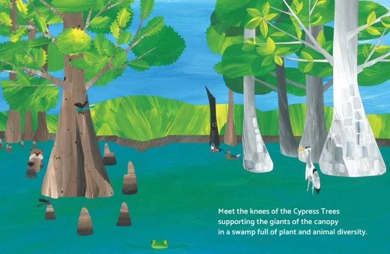 Cypress Knees Page 1.JPG