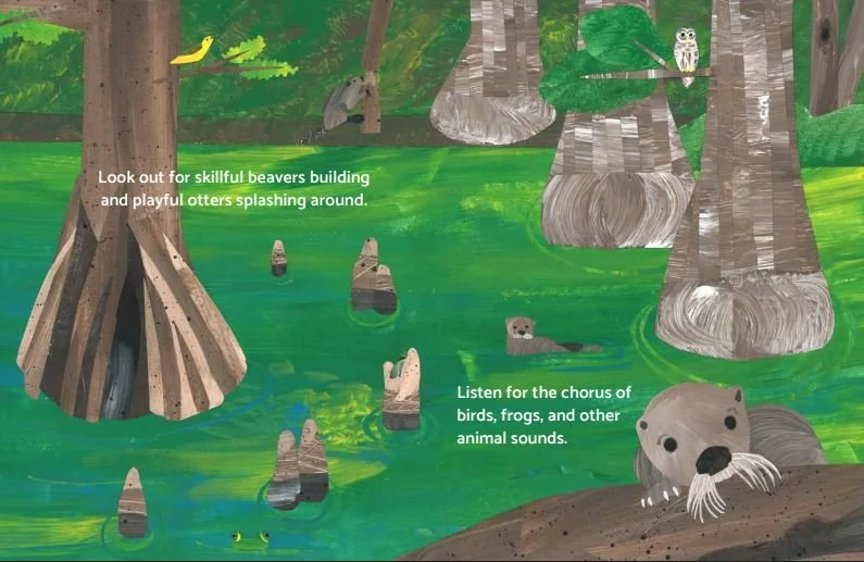 Cypress Knees Beaver.JPG