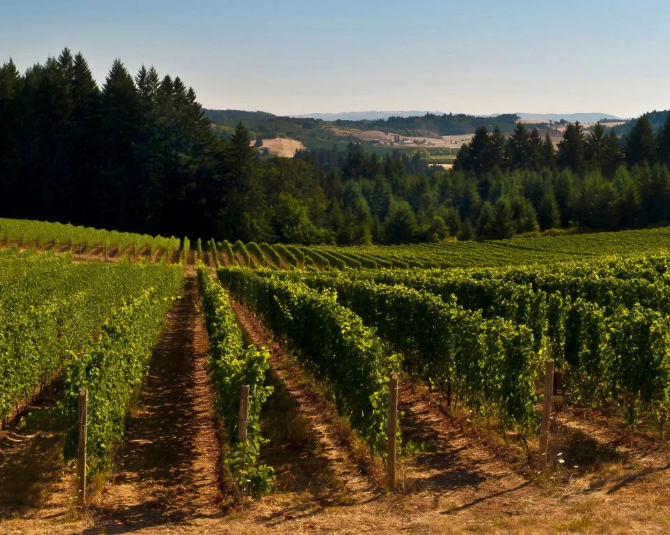 Portland Opera at the Utopia Vineyard