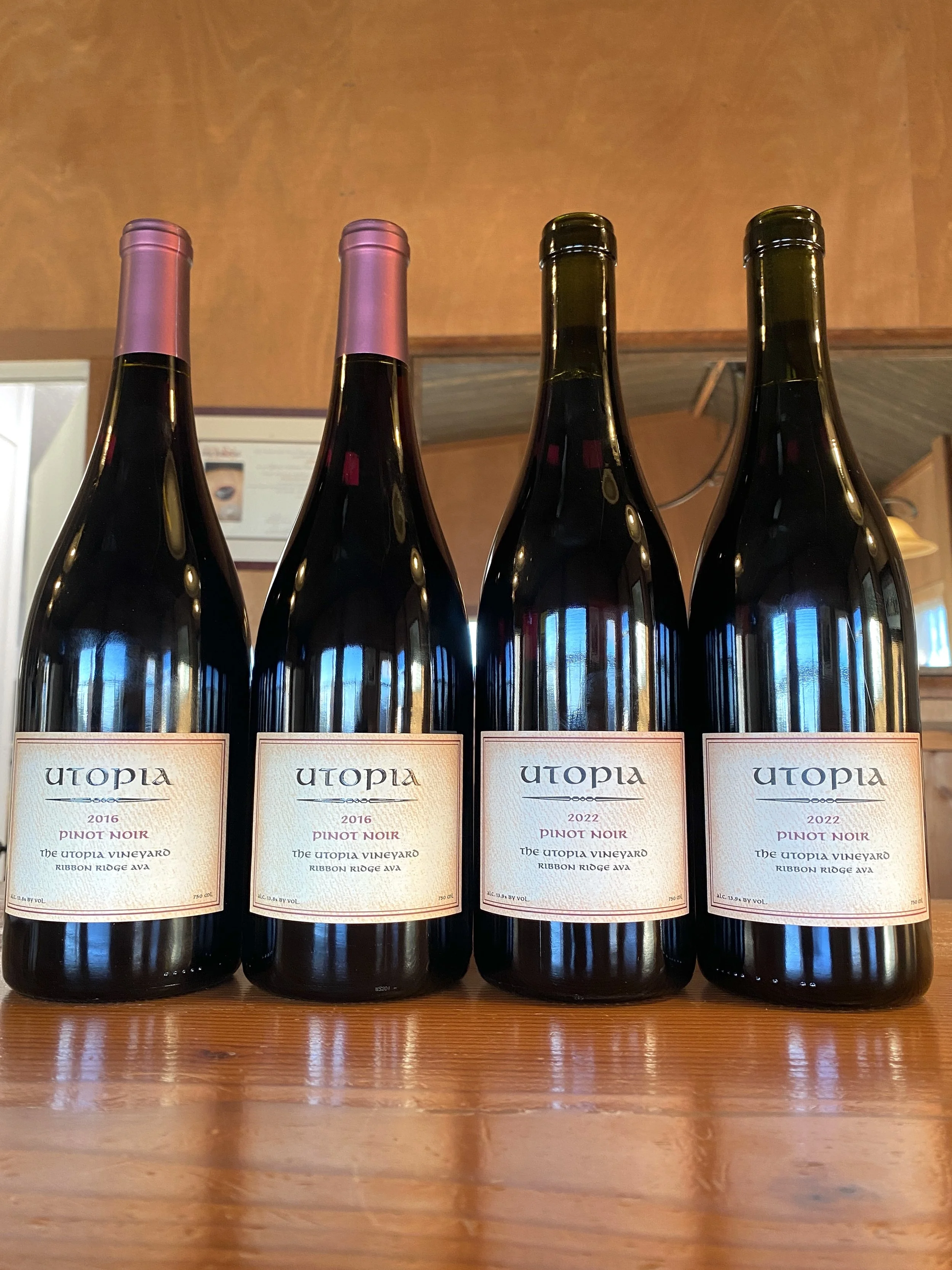 Old and the Young four-pack.jpg