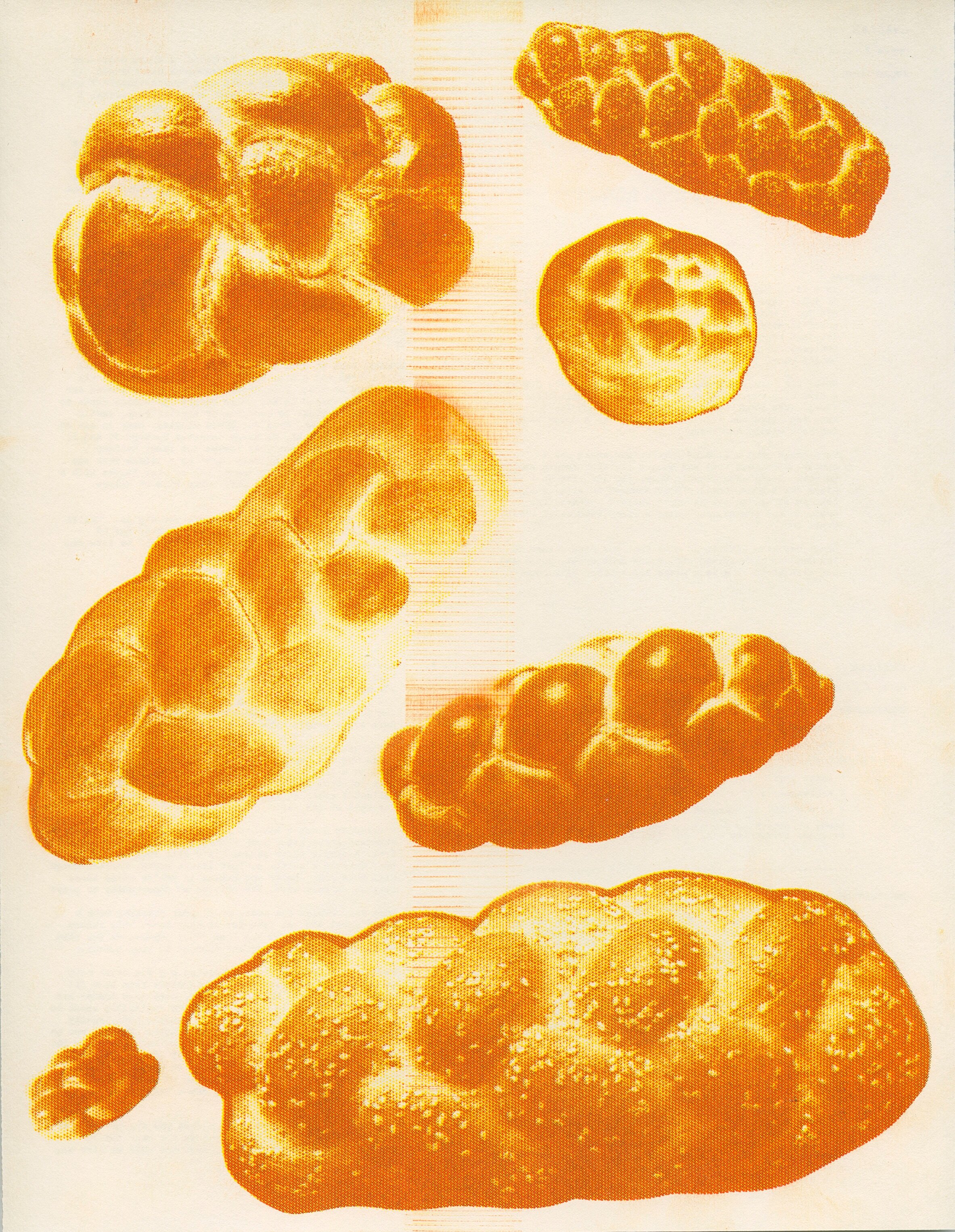 Baker_Riso_Challah_Pattern.jpg