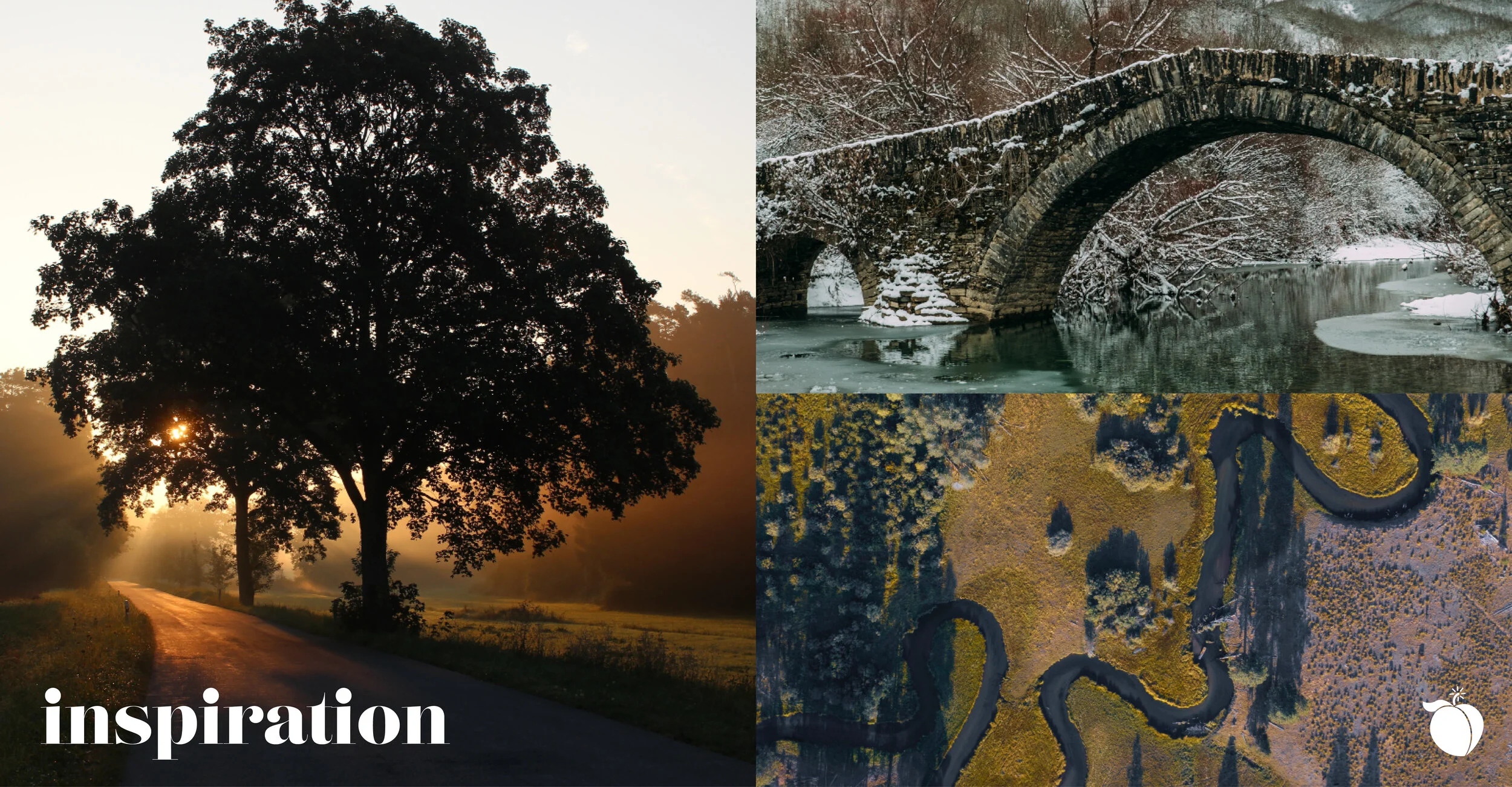 Designing the Parks Website Page3.jpg