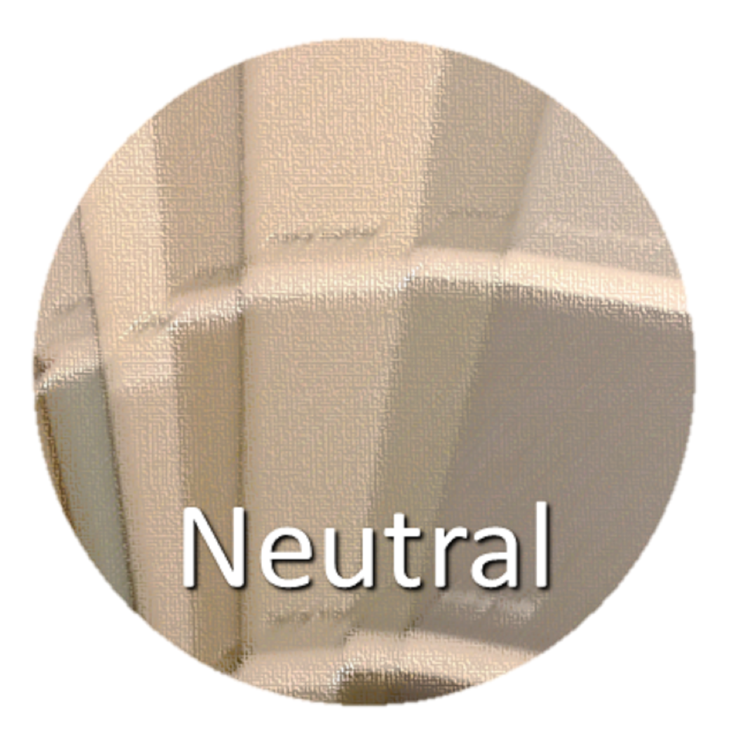 michael-helwig-interiors-neutral-color-scheme.PNG