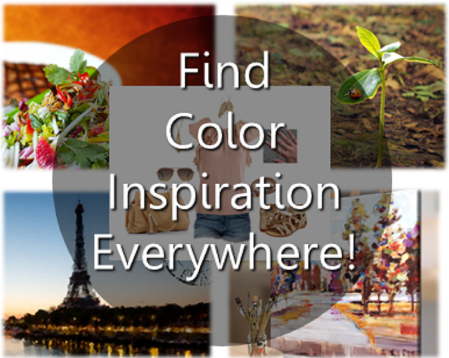 michael-helwig-interiors-color-inspiration.PNG