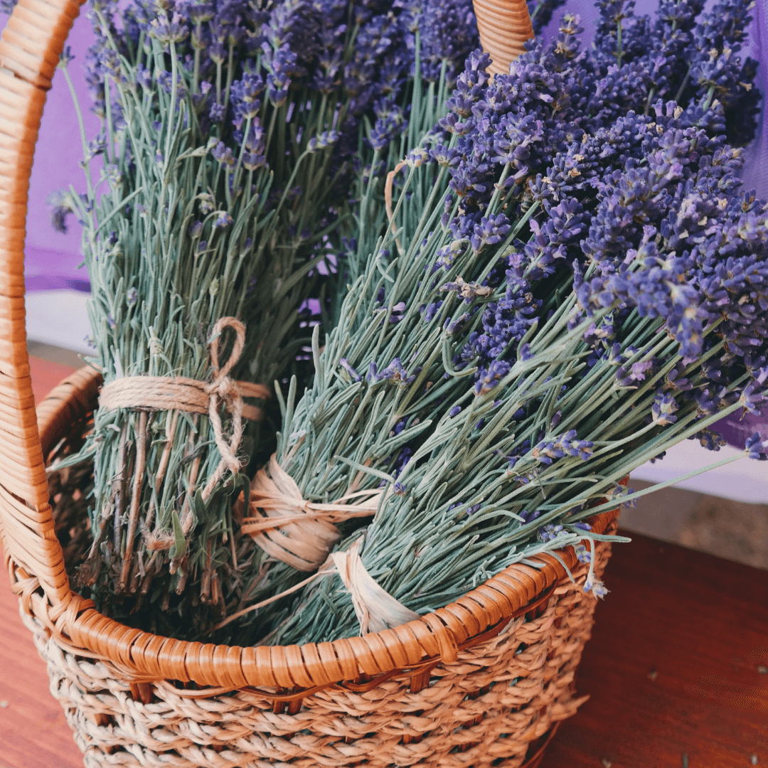michael-helwig-interiors-8-ways-to-get-amazing-sleep-by-bringing-nature-into-your-bedroom-use-woven-baskets-to-put-stuff-away.png