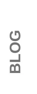skandishop+blog+signature.jpg