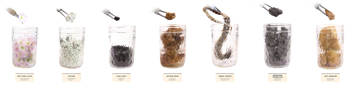 Specimens I collected during my fellowship. Left to right: not sego lilies, potash, coal dust, geyser rock, snake corpse, Morrison Formation, and not uranium.
