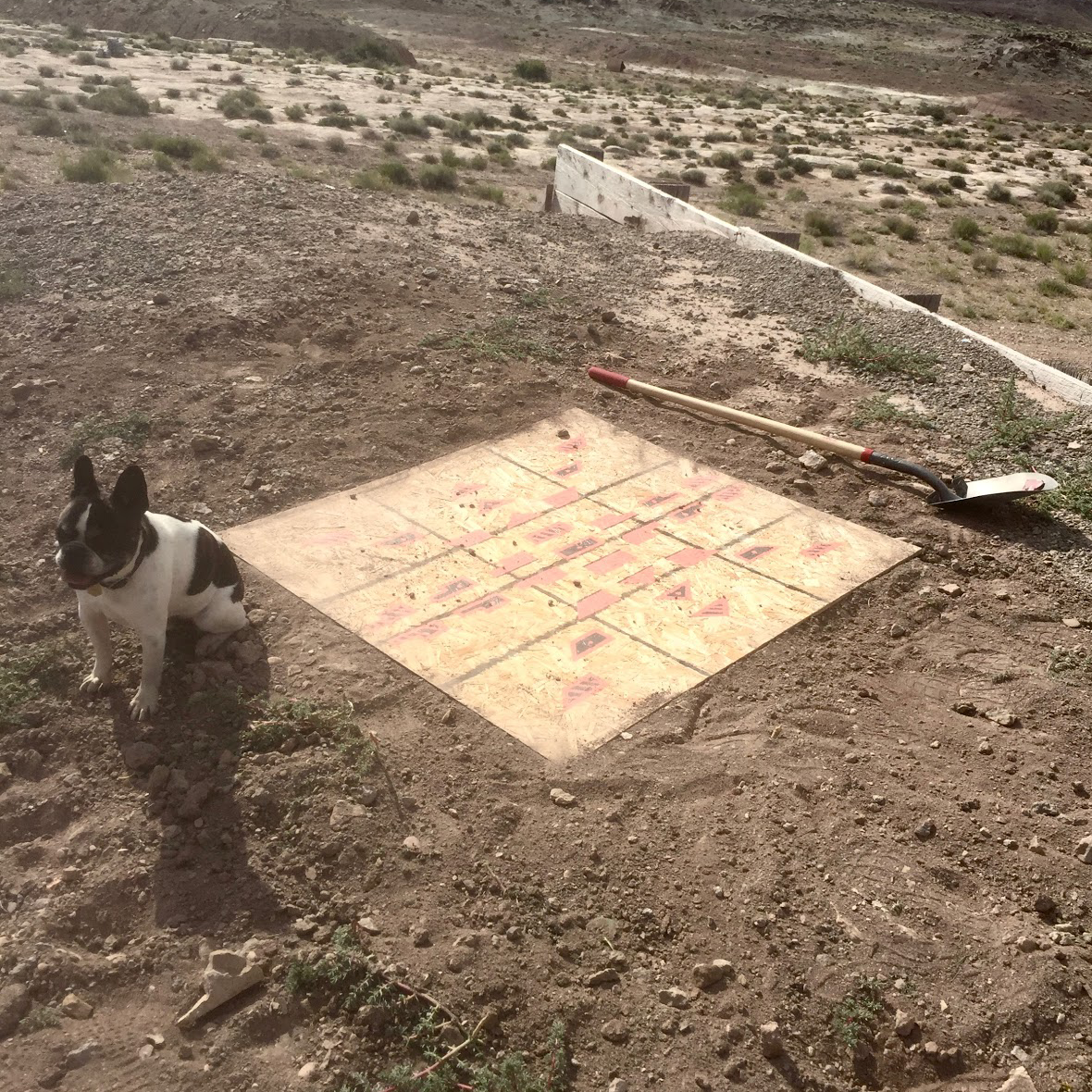 site2.png