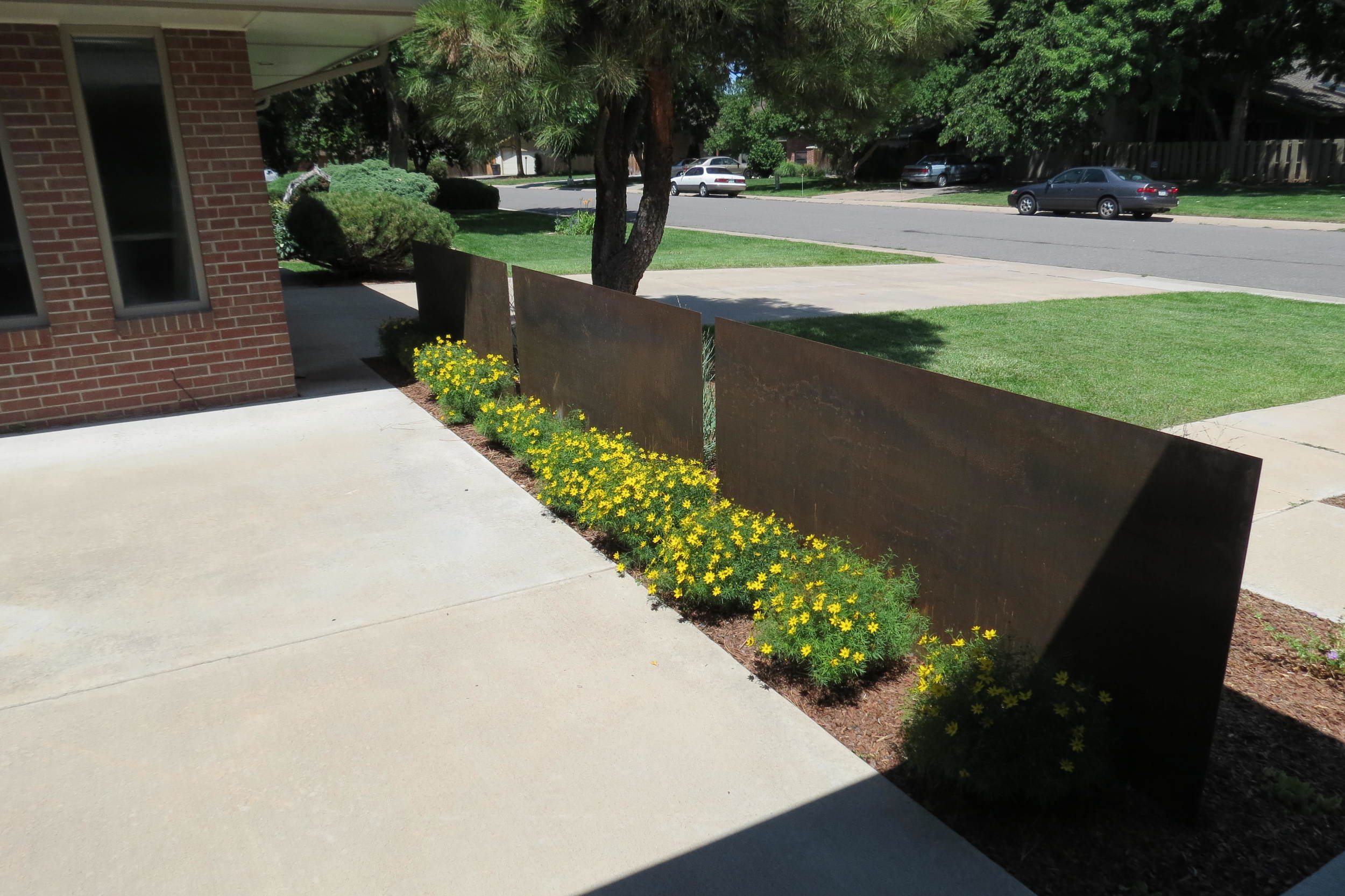  'Zagreb' Coreposis lines the inside of the Cor Ten wall, peeking out at the front yard.&nbsp;For those seated on the patio inside, the coreopsis creates a burst of color during it's long bloom period, and soft, neat mounds of foliage when out of blo