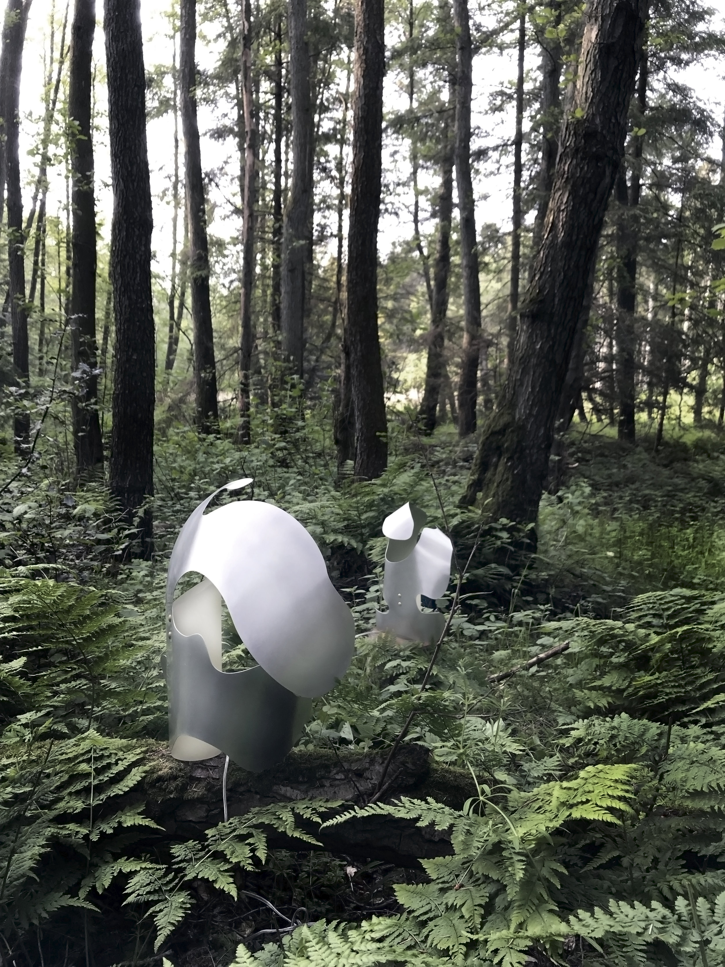 OSL_woods_II_IEK.jpg