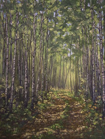 FOREST TRAIL WITH POPLAR