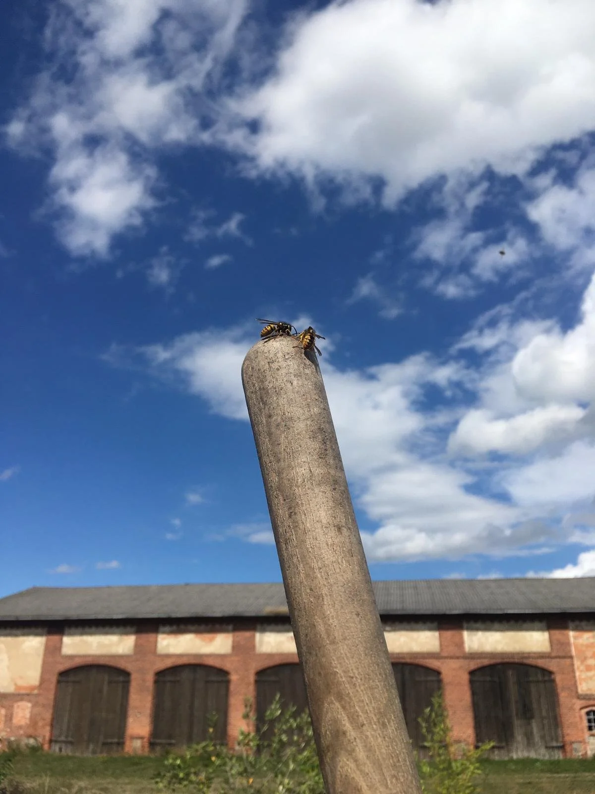 WhatsApp Image 2020-08-30 at 11.20.29.jpeg