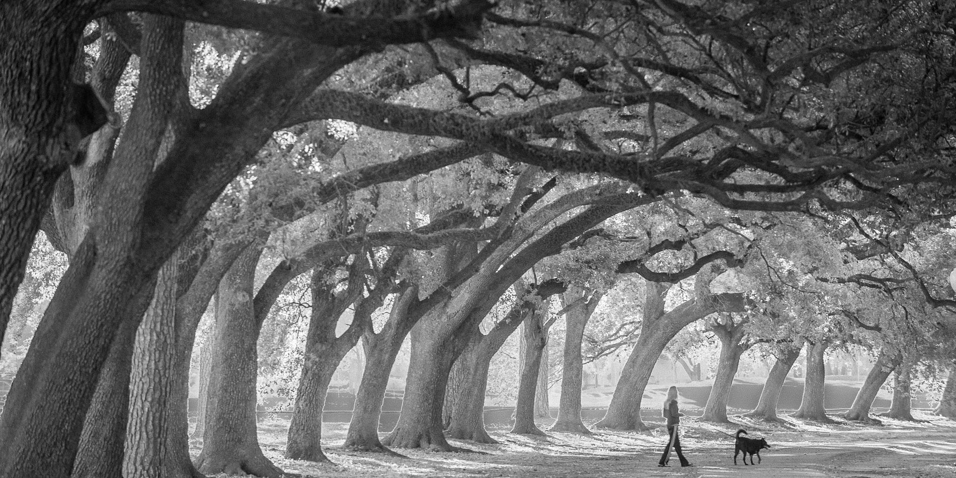 NBaker_Hermann Park_20101031_2454.jpg