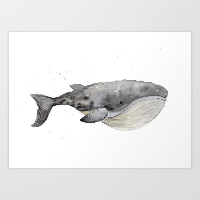 whale-1-cqd-prints.jpg