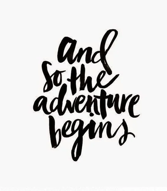 A look back on 2016 and what lies ahead for 2017