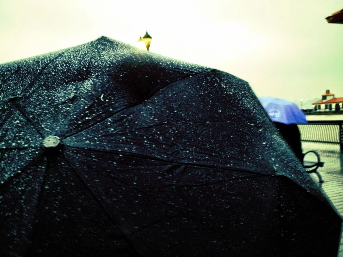 umbrellas_hoboken_no_102711.jpg