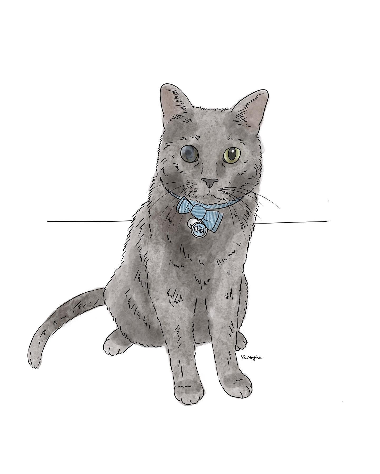 Probably time I doodled our sweet baby boy! We foster failed this guy a year and a half ago after @monikatheplant found him. He was super sick and had a bad eye infection that has left scarring on one of his eyes. We think he is absolutely perfect an