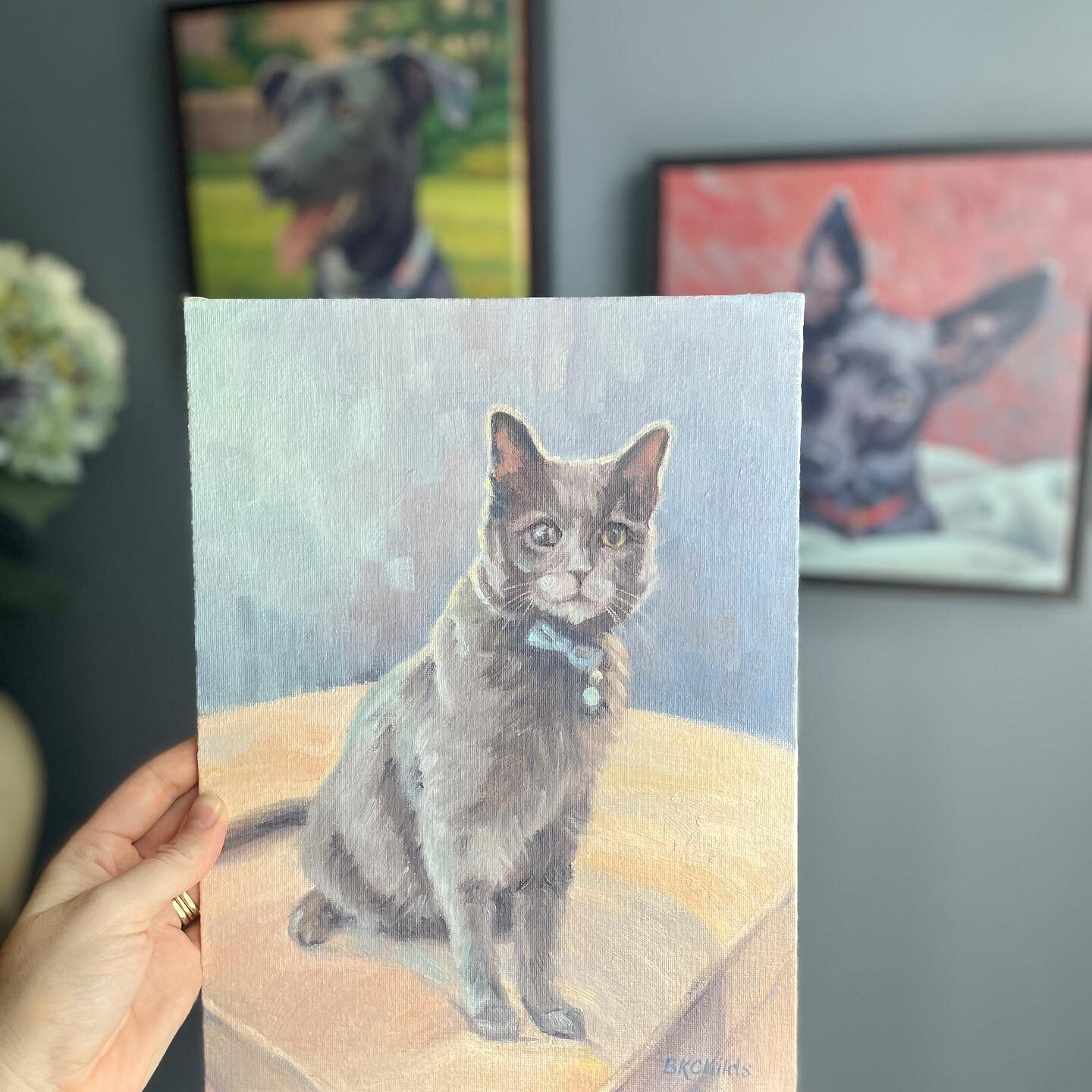 Best birthday gift from my mom! She is such a talented oil painter and I&rsquo;ve been begging her to paint our cat Nimby for me. Adding it to our fur baby collection. If anyone needs a pet portrait let me know! 🥰