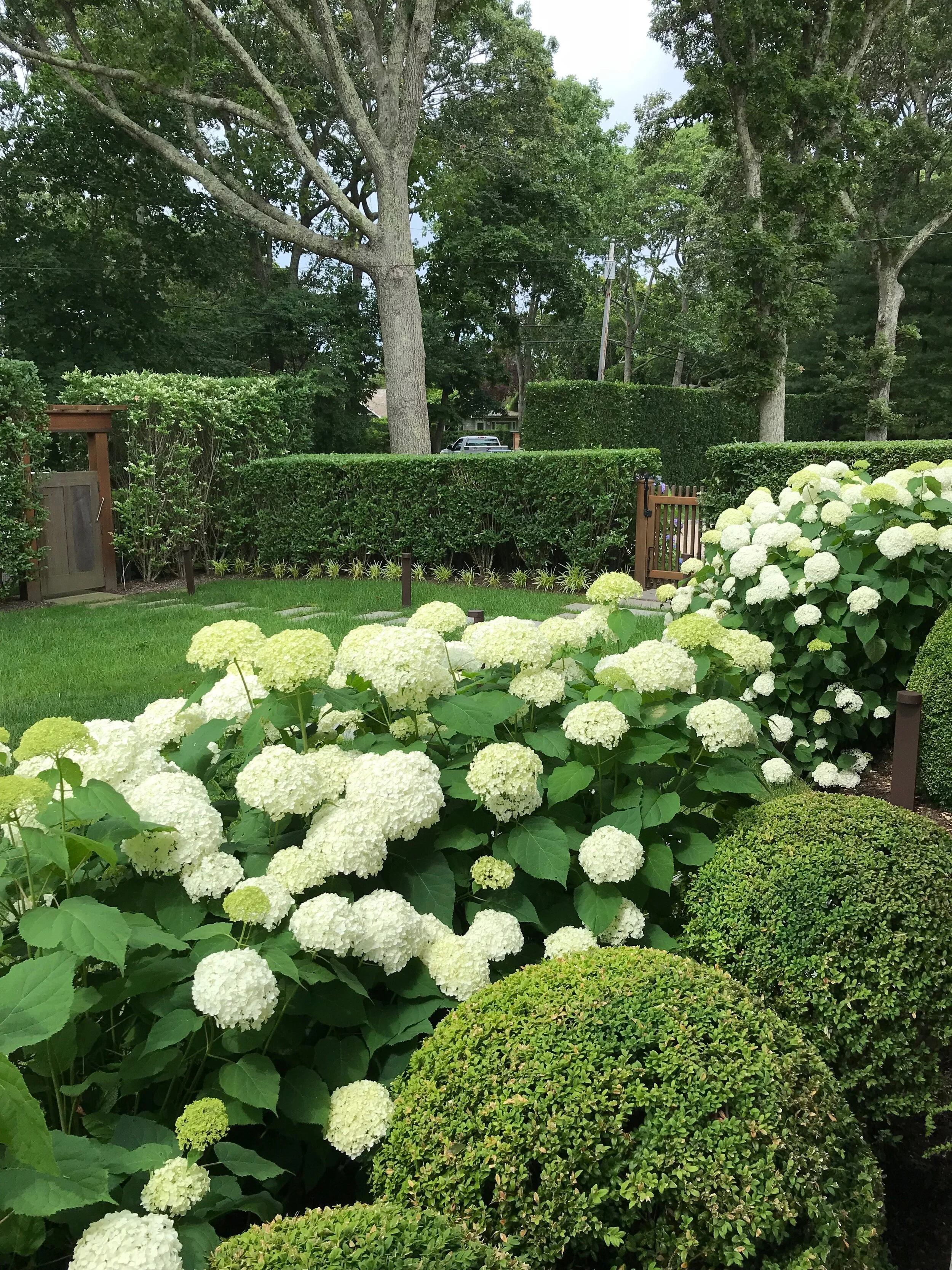  Coordination of Landscape at Former Site Parking 