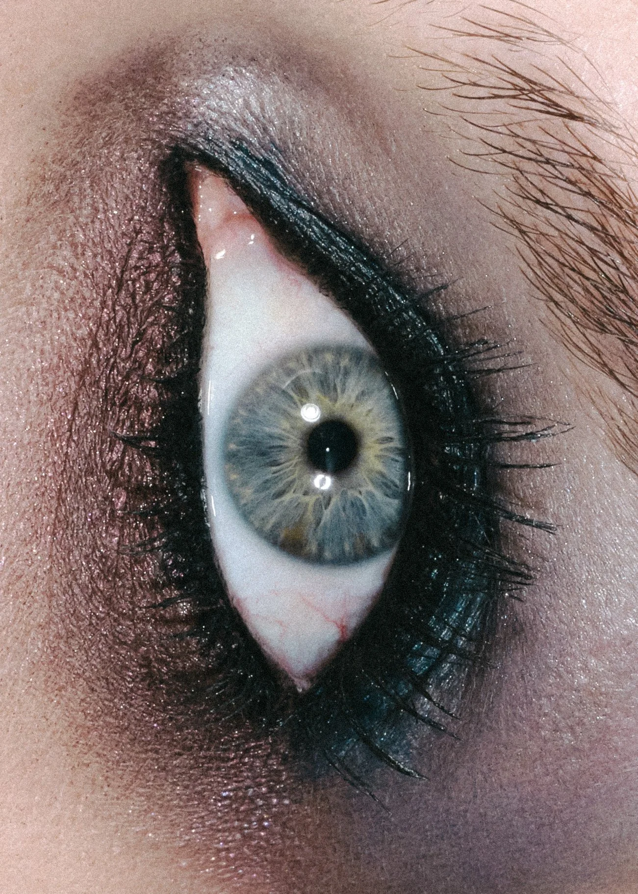 4. 416B181B-2A8A-4E00-8D41-5DE539E1EF40 copy.jpeg