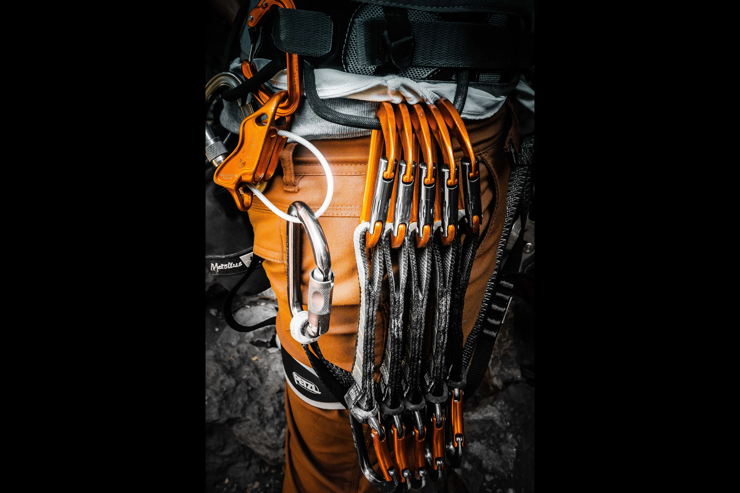 orangeharness.jpg