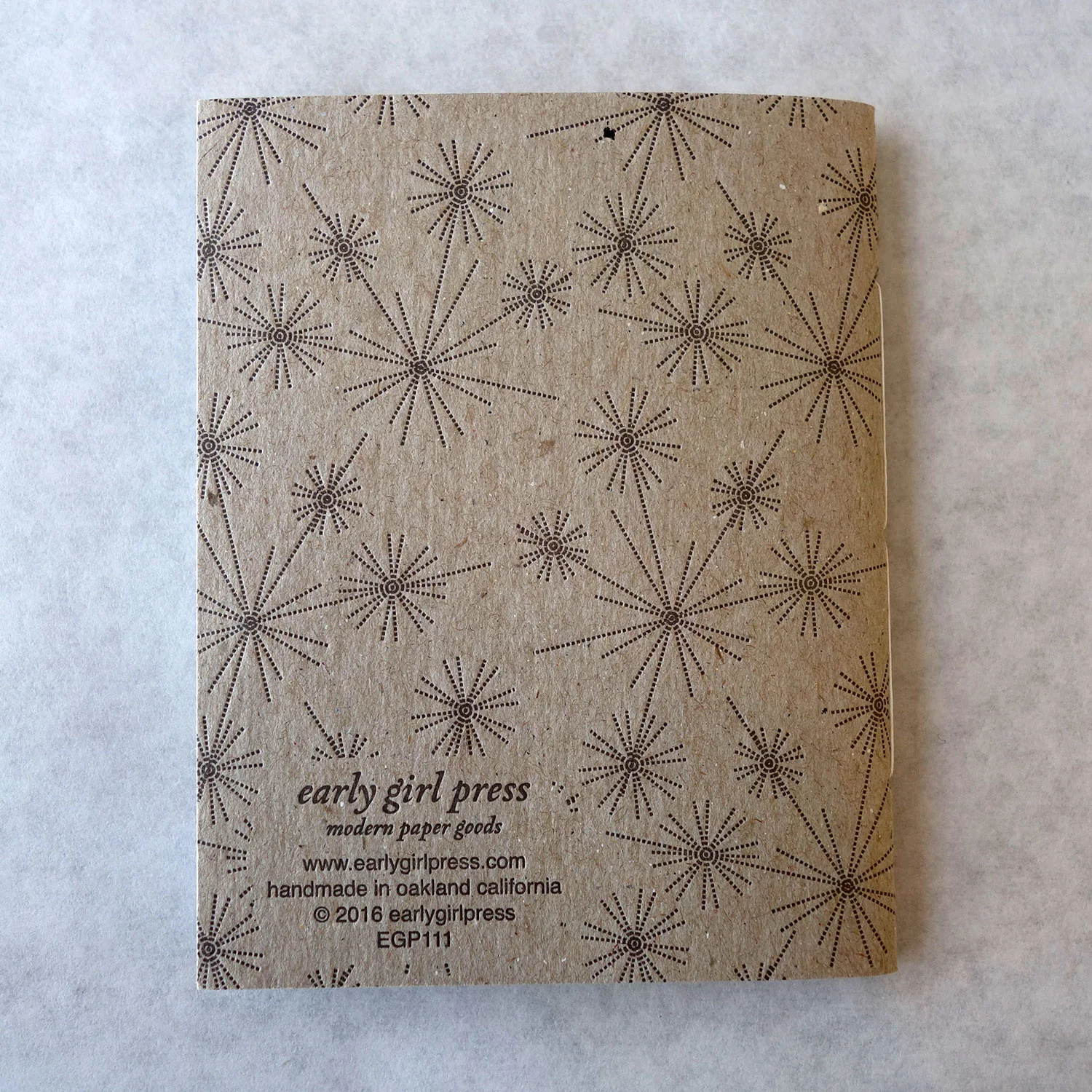 starry notebook