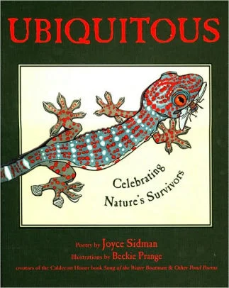 Ubiquitous.jpg