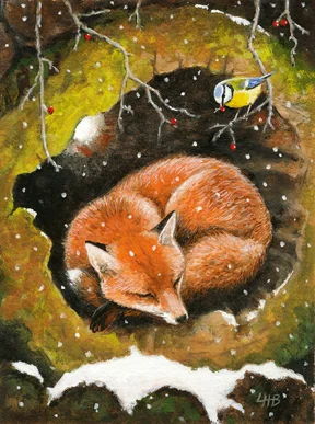 A Winter Nap