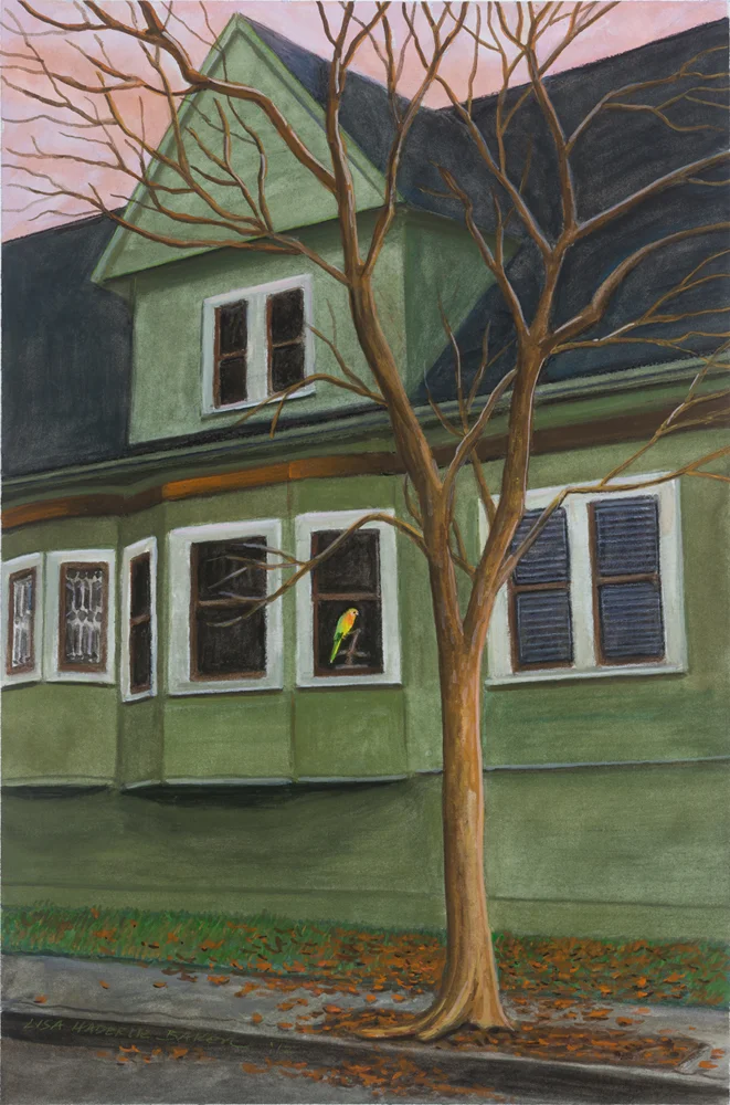 The Parrot in the Window