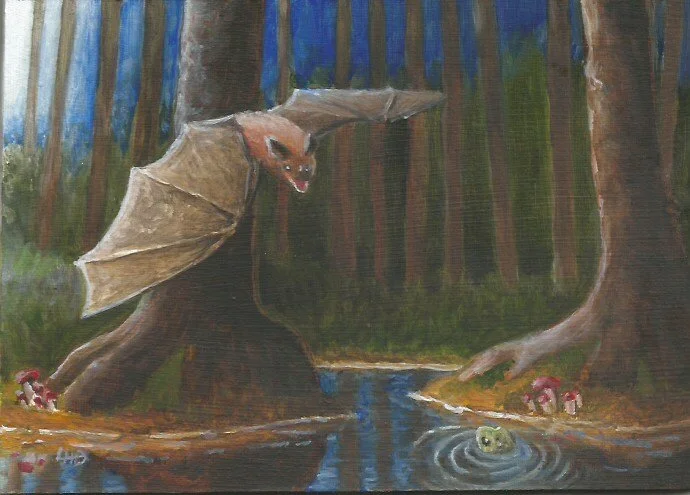 Fledermaus