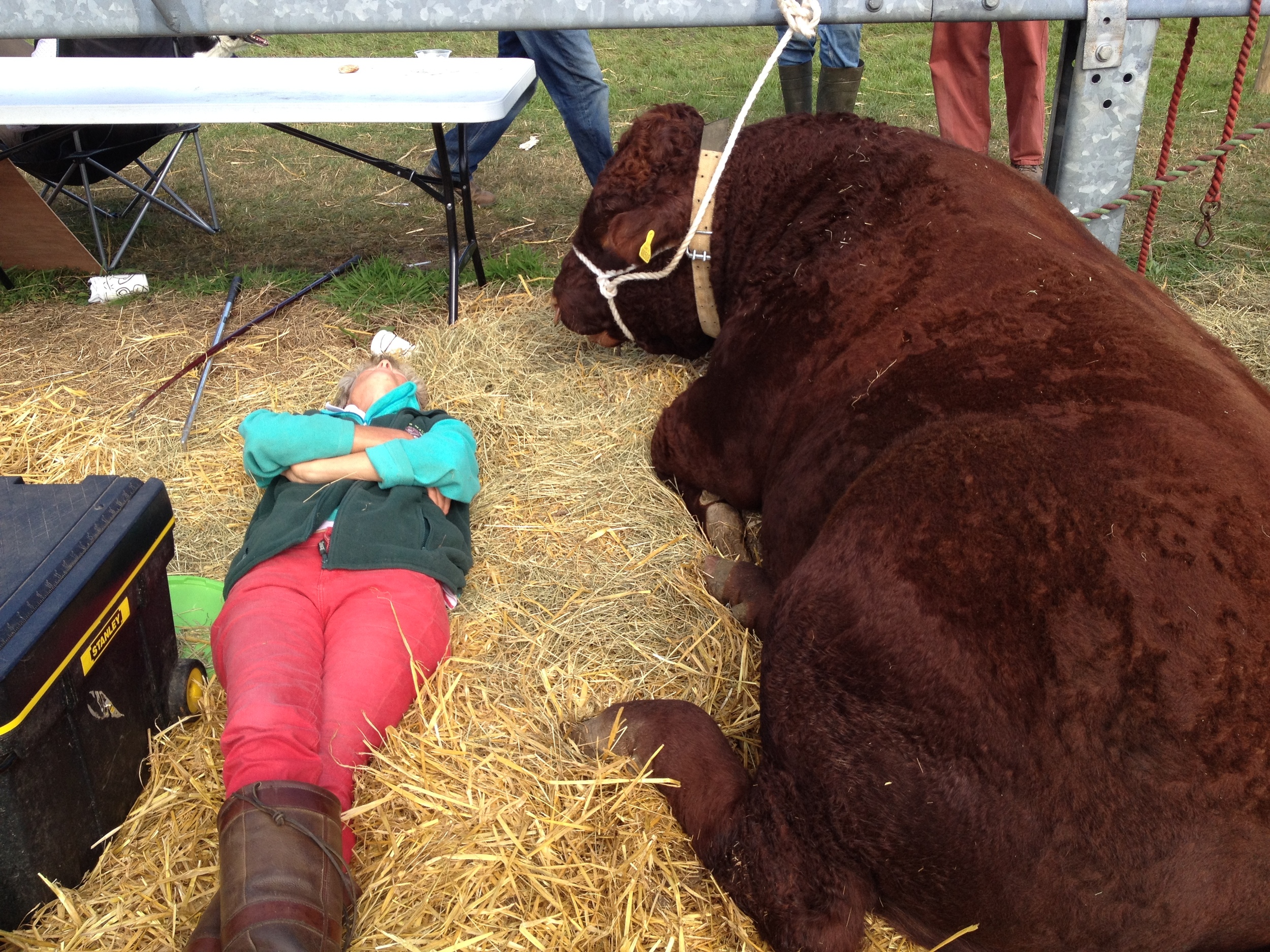 Everyone working hard at an agricultural show :)