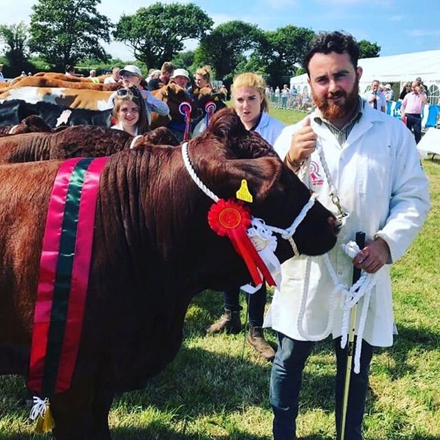 Hi there , last night we unfortunately had two of our Show heifers taken from the field. The farm is Colleton Barton , Chulmleigh , Devon. They are two pedigree red ruby Devon heifers. One two year old and one yearling. Their ear tag numbers are 
UK3